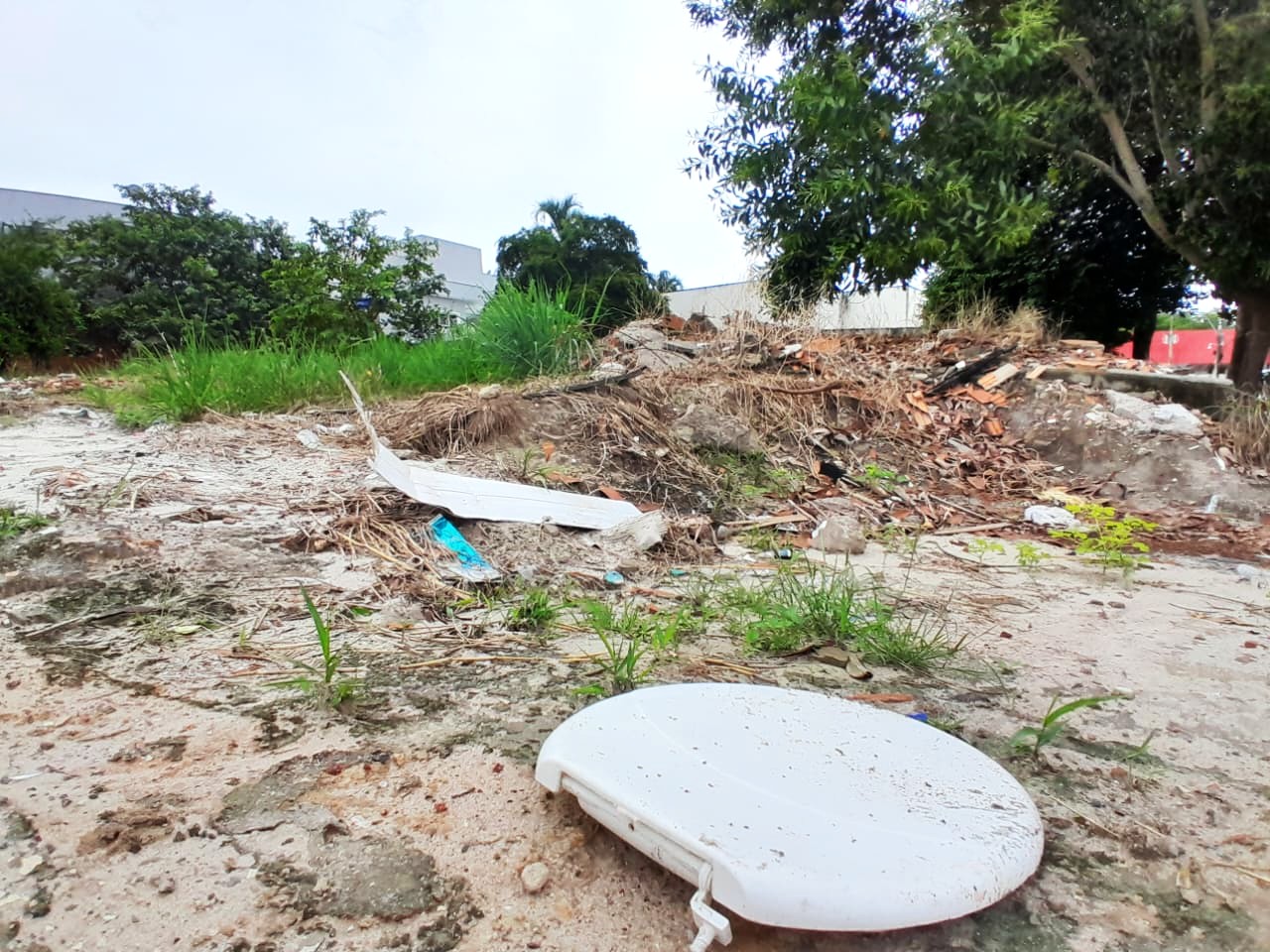 Prefeitura de Pinheiros dá prazo para limpeza de terrenos e medida repercute no ES